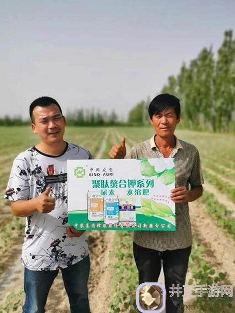 天天农场海岛作物利润全揭秘：哪些作物最赚钱？セックス禁止