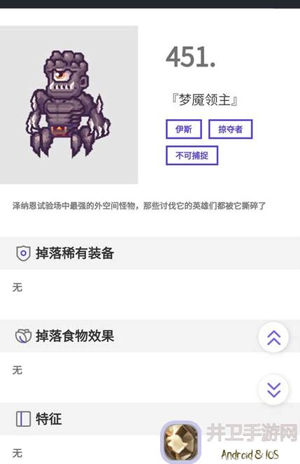 雷索纳斯角色解析：伊洛娜的神秘世界