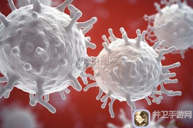 白荆回廊新白嫖活动亲测：轻松获取福利秘籍