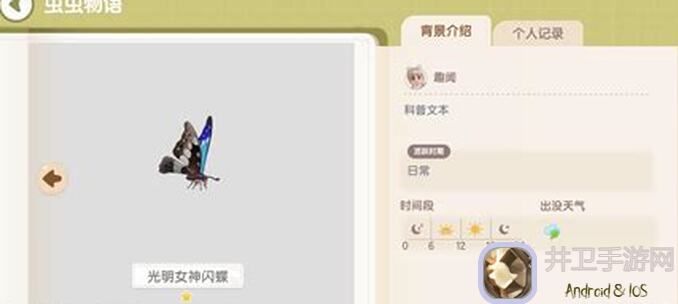 心动小镇奇灵夜钓鱼捕虫全物种售价大曝光