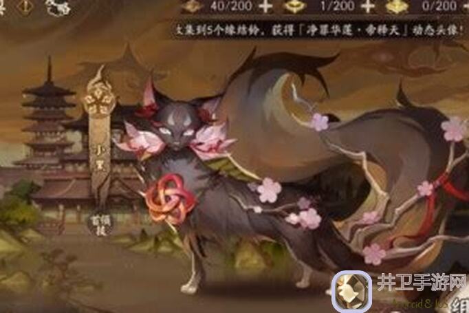 猫之城3分钟轻松速刷阵容解析：定向作战红最快通关攻略